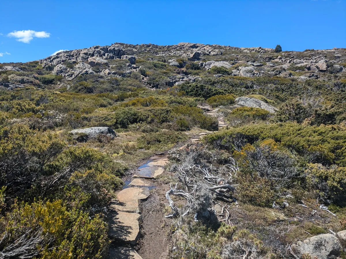 Sentier pavé de roches sur un paysage de montagne