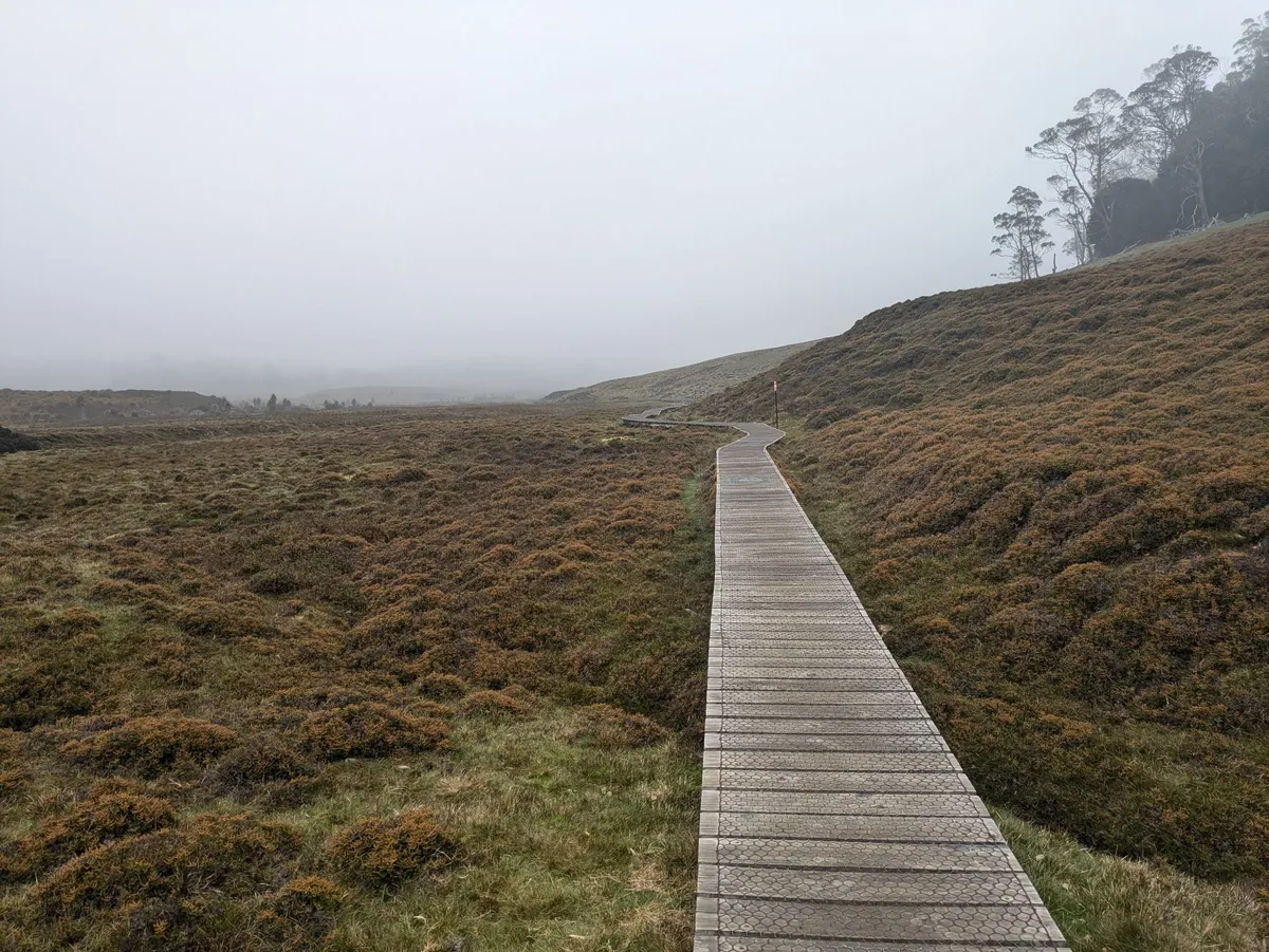 Chemin en bois dans une plaine de hautes herbes dans la brume