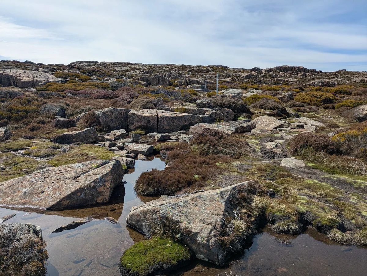 Plateau montagneux, végétation basse et flaques d'eau