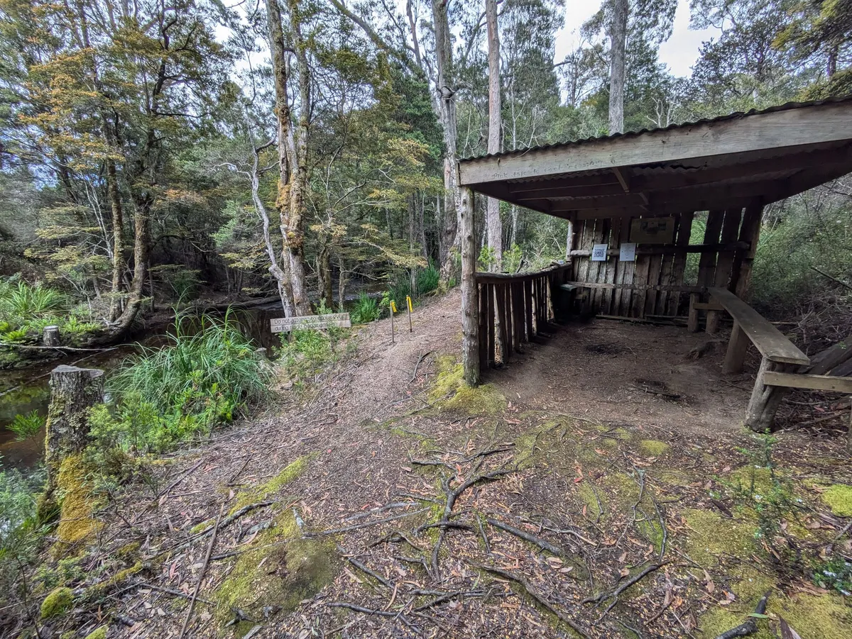 Cabane en bois dans la forêt