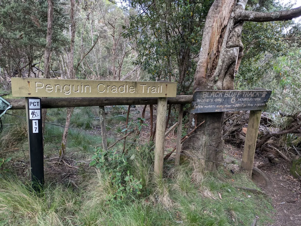 Des panneaux indiquant un chemin de randonnée dans la forêt