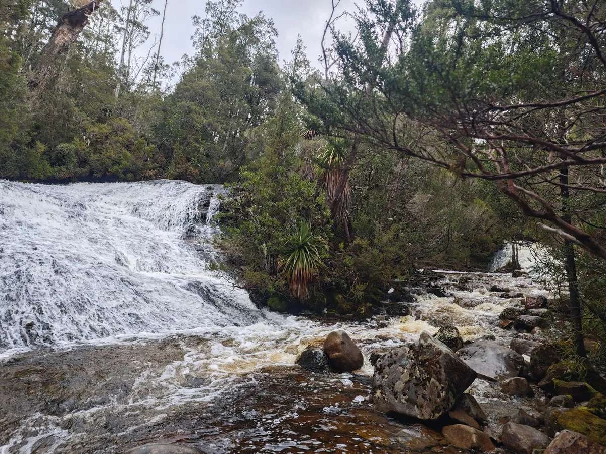 Paysages de cascades dans une forêt humide