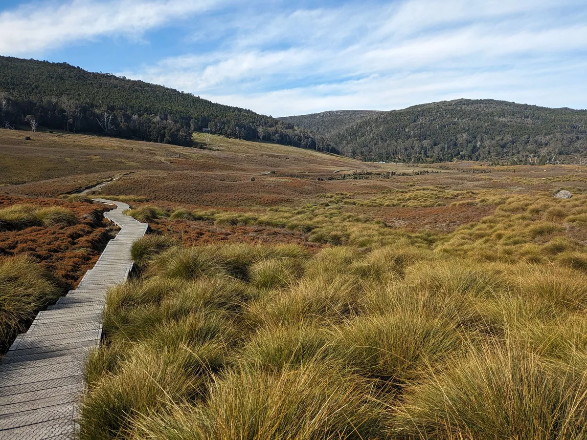 Plaine de buttongrass
