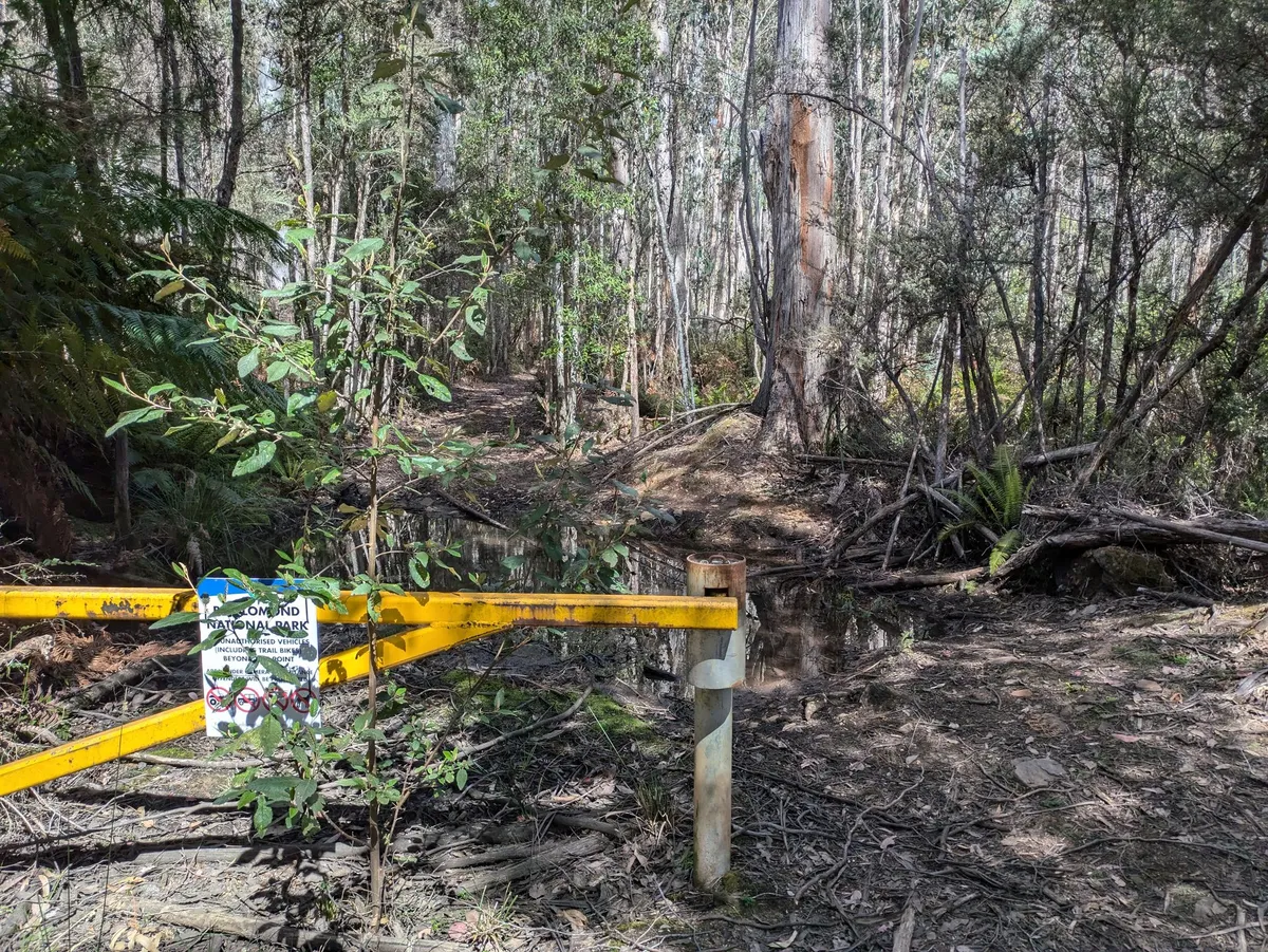 Barrière jaune à l'entrée d'une forêt