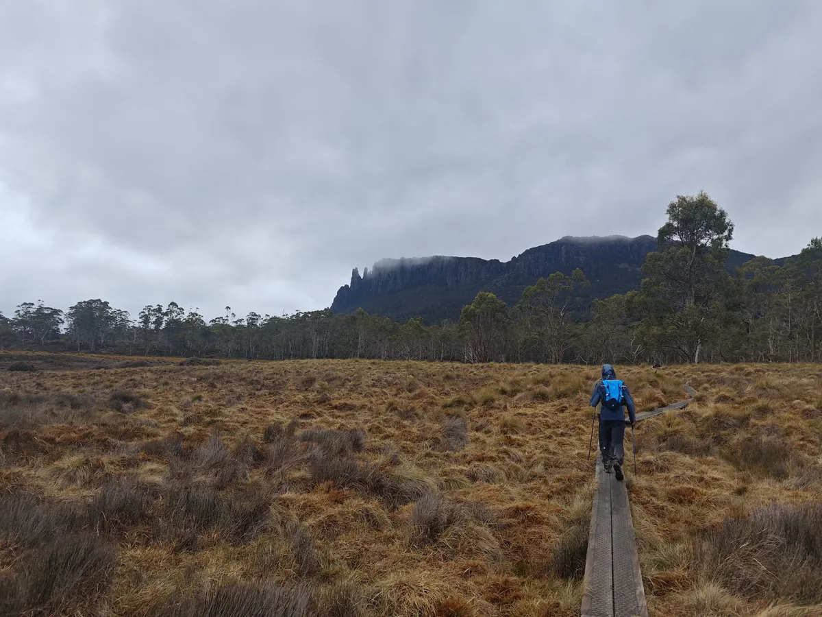 Sentier en bois sur lequelle un randonneur marche au milieu d'une plaine