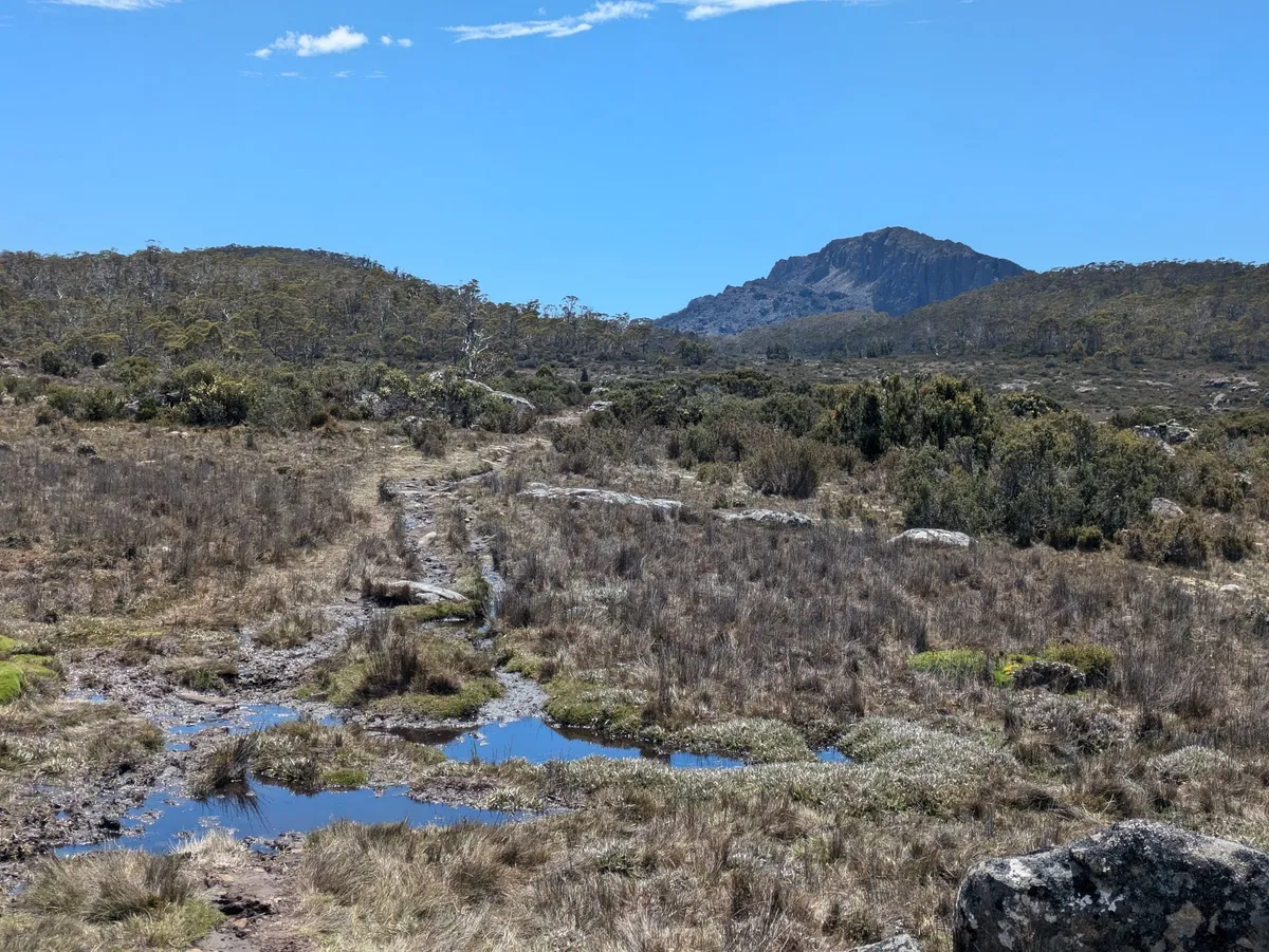 Vue sur Clumner Bluff en arrière-plan