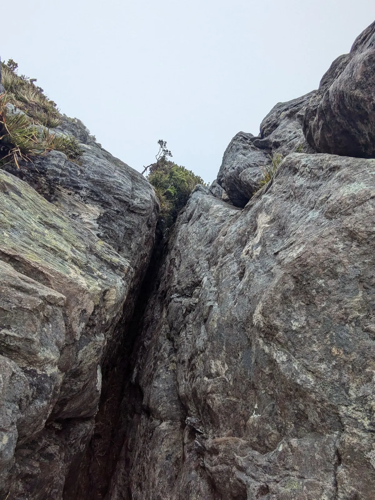 Fissure rocheuse
