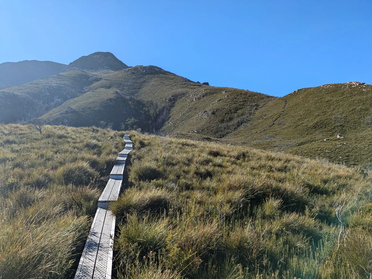 Boardwalk le long du Mount Anne Track