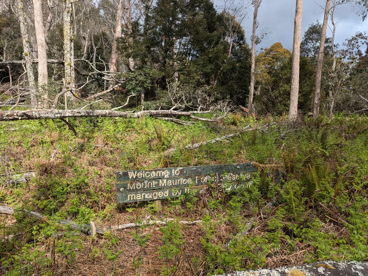 Panneau de forêt caché par la végétation