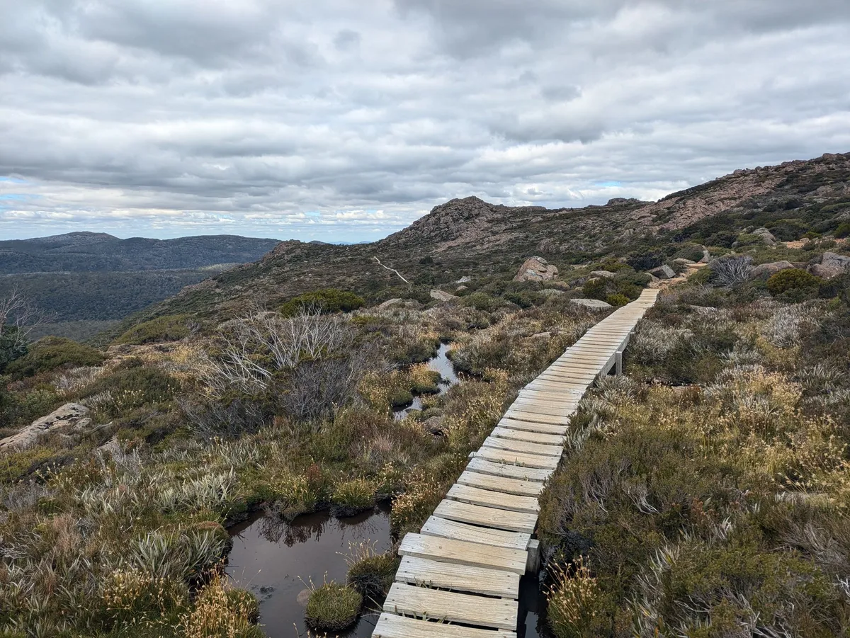 Boardwalk dans une région alpine de Tasmanie