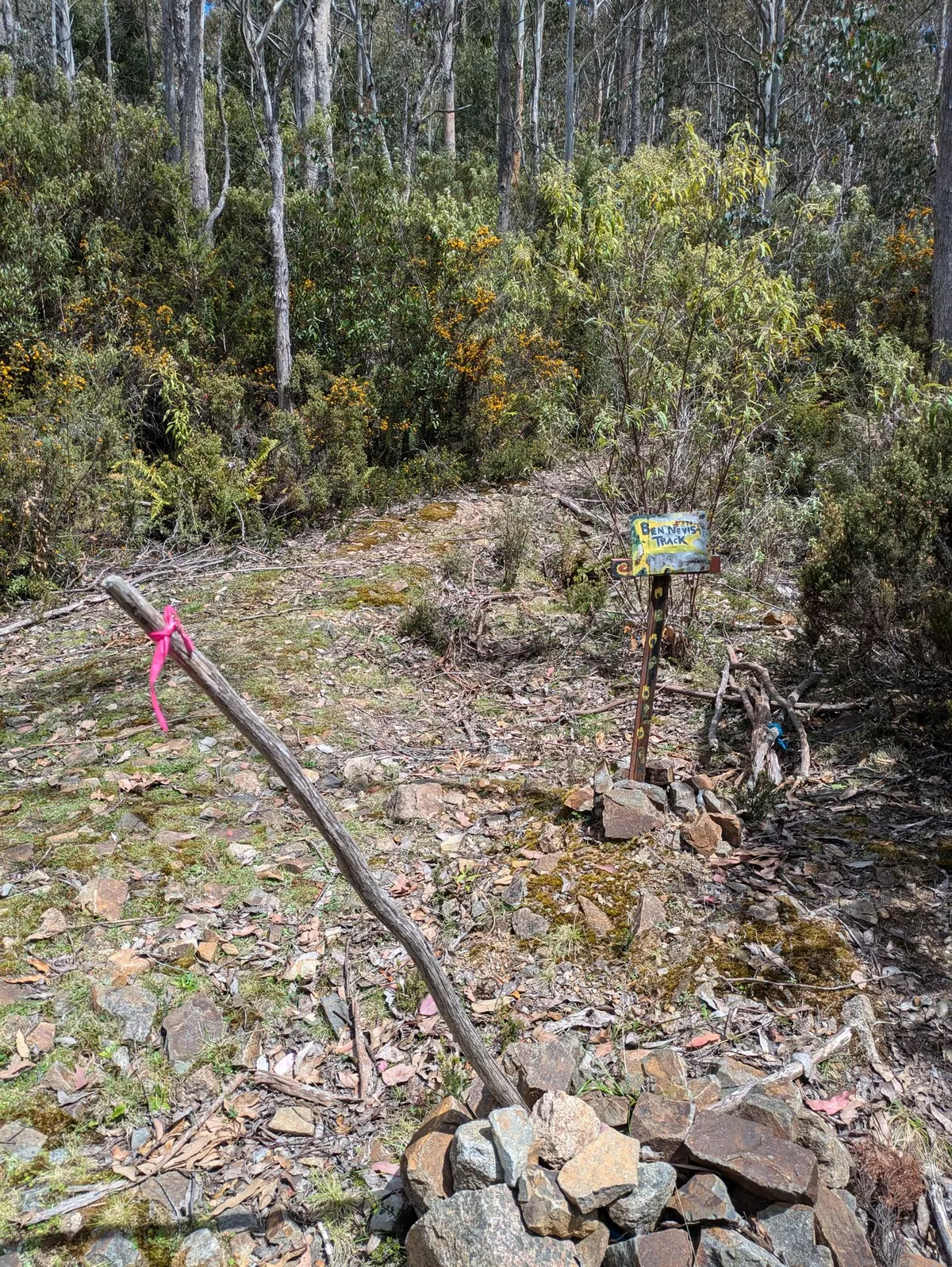 Paysage de forêt avec un panneau indiquant Ben Nevis Track