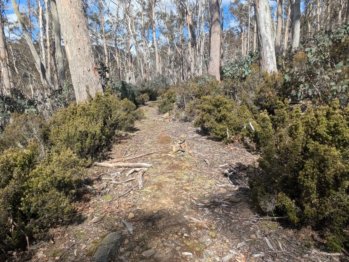 Large sentier, un cairn au milieu
