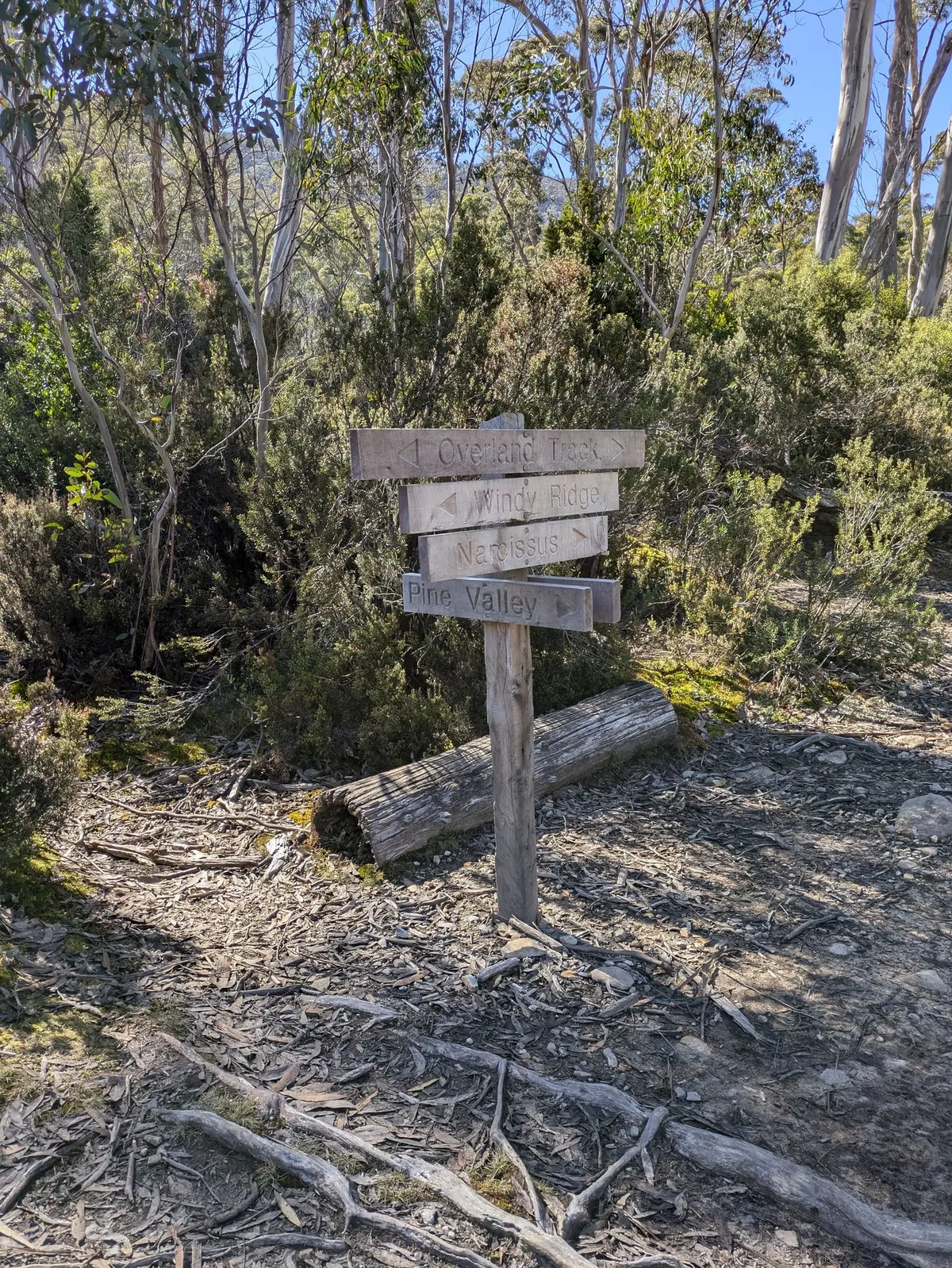 Panneaux directionnels en bois