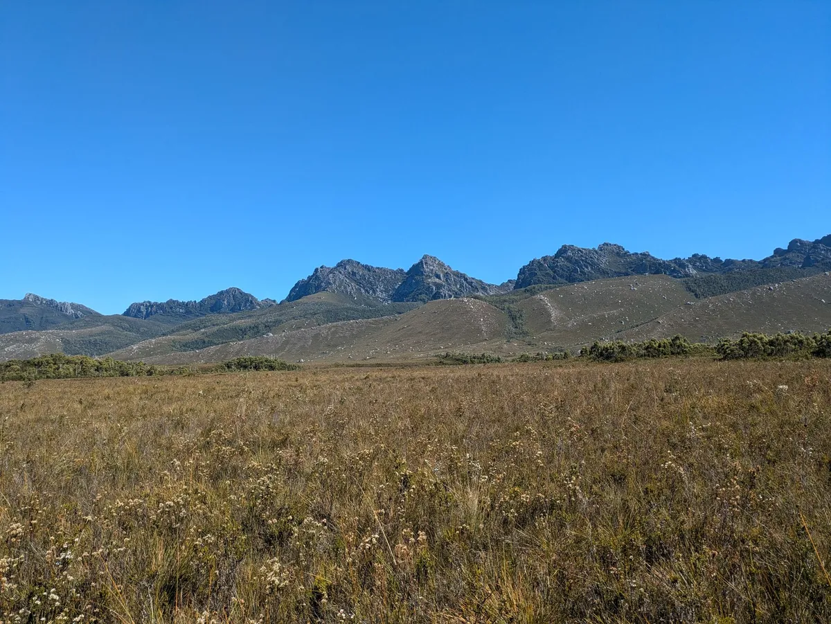 Vue des Western Arthurs depuis Port Davey Track