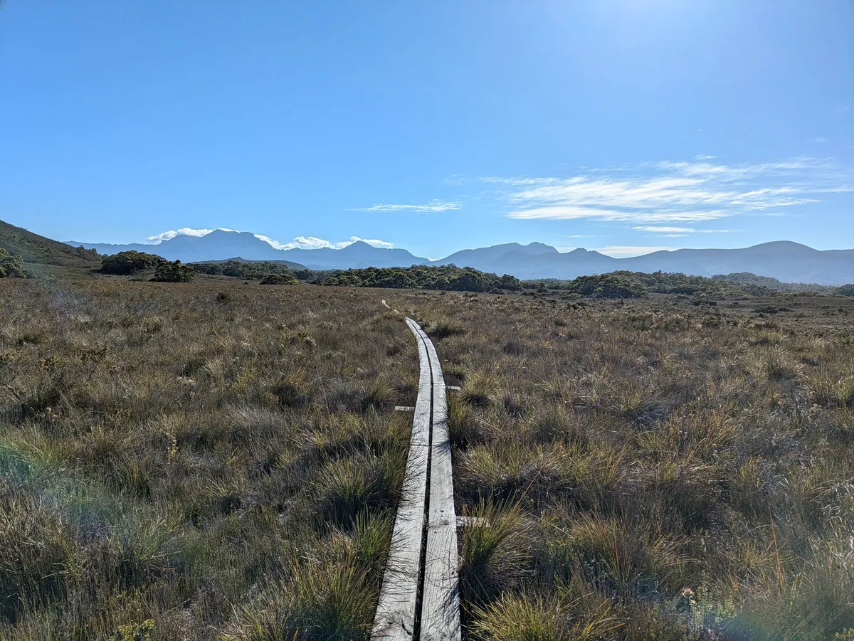 Boardwalk au centre d'une plaine de Buttongrass