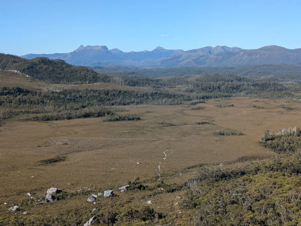 Vue sur le Southwest National Park depuis l'Alpha Moraine