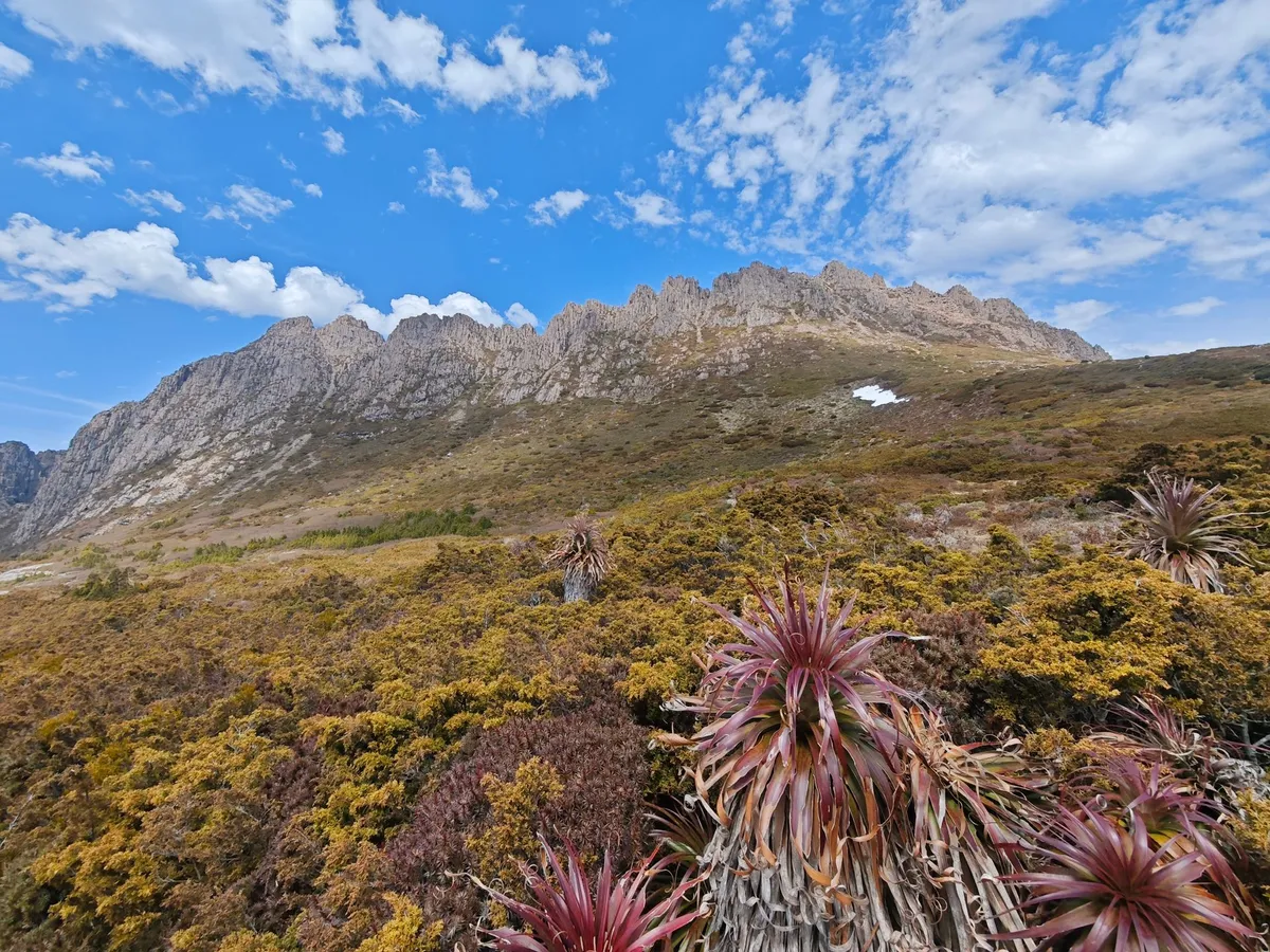 Au pied de Cradle Mountain