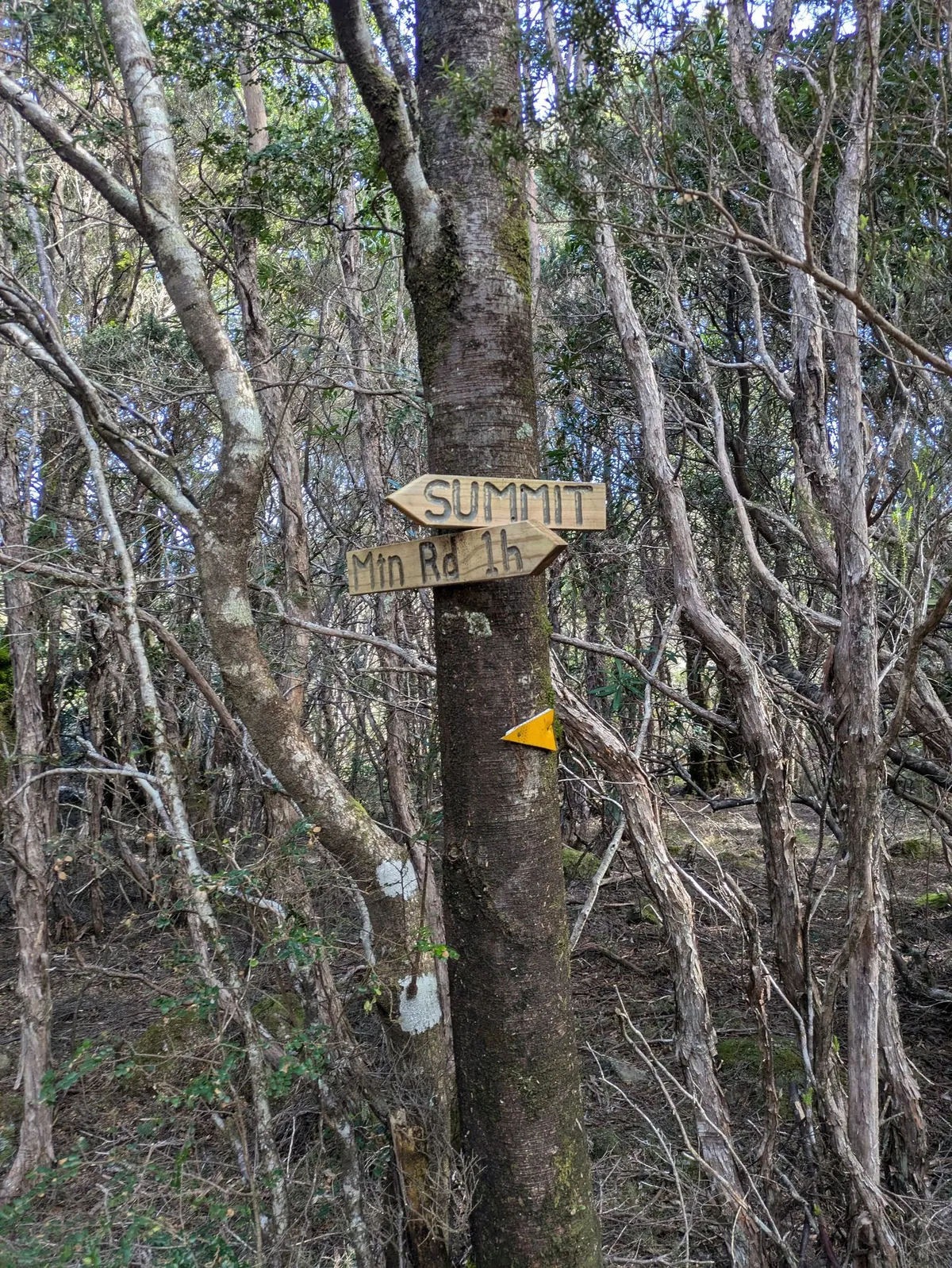 Panneaux de balisage de randonnée sur un tronc d'arbre