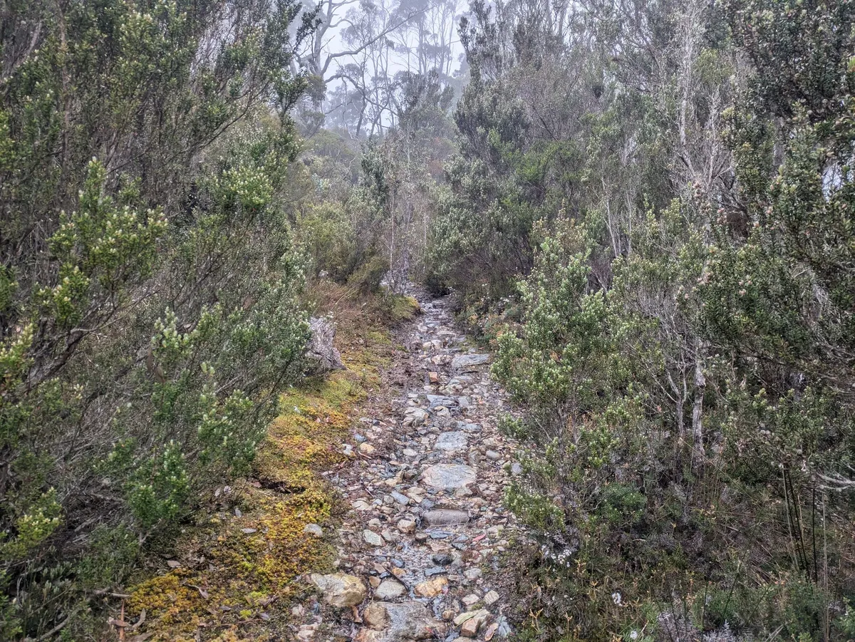 Sentier pavé de roches