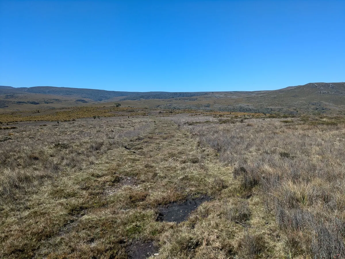 Trouée dans une plaine de buttongrass