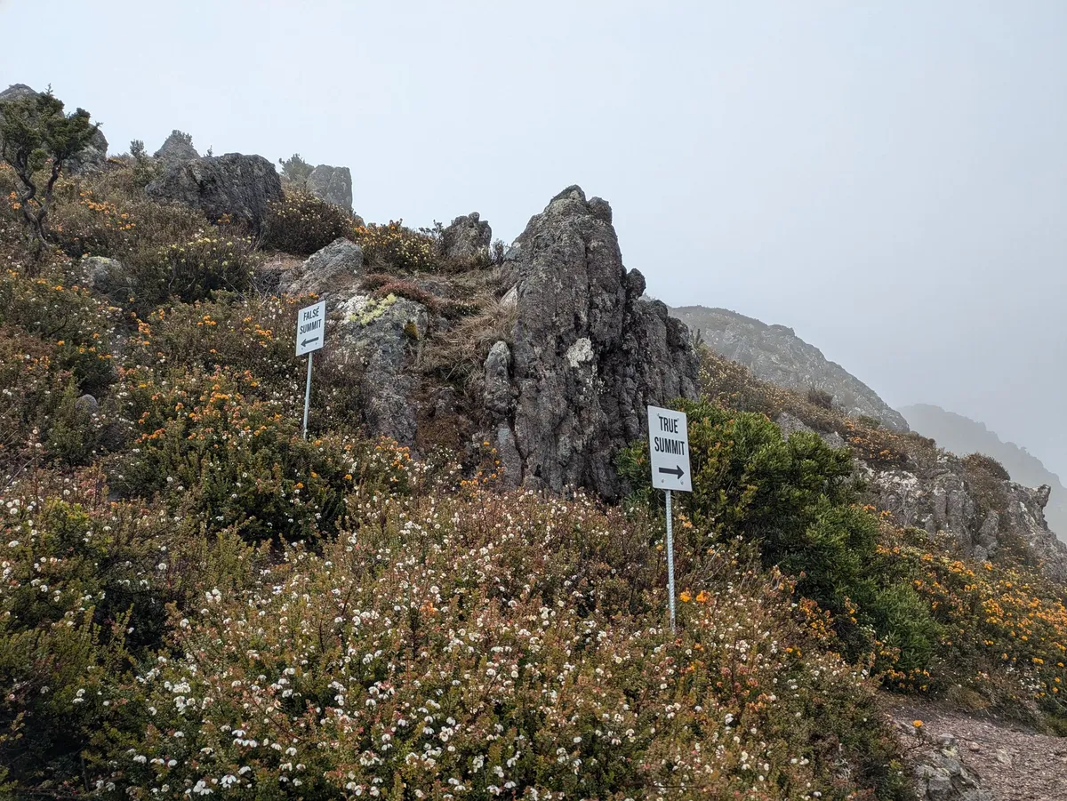 Fleurs sauvages et panneau indiquant le sommet de st-valentines peak