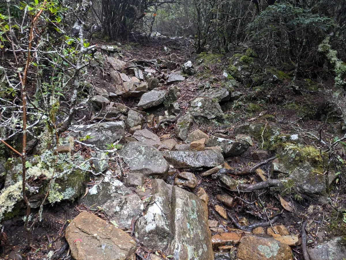 Pierres mouillées glissantes