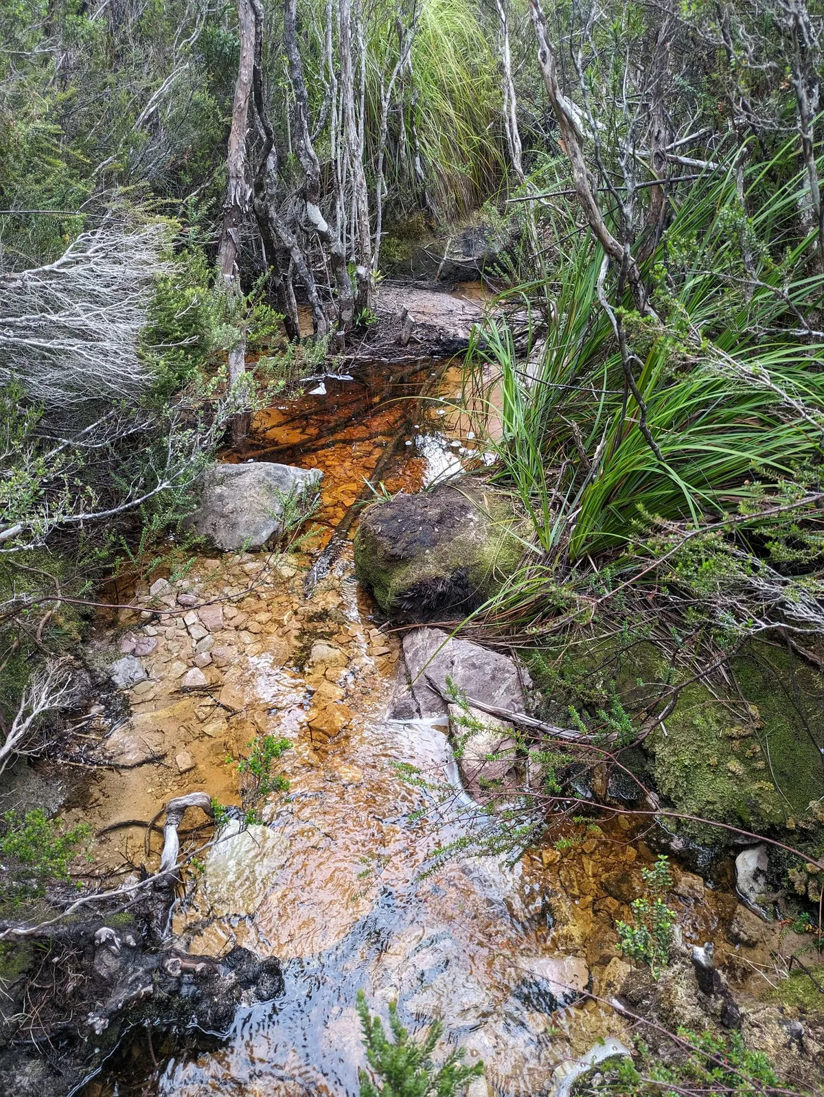 Flaques d'eau recouvrant le sentier rocheux