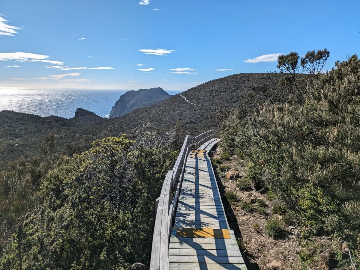 Boardwalk traversant une crête d'arbustes au bord de l'eau