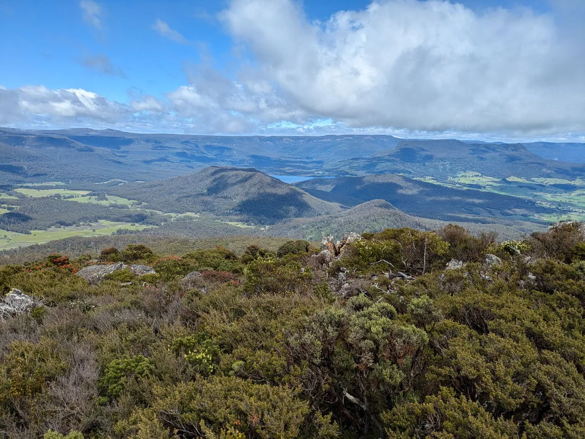 Paysage typique du nord de la tasmanie