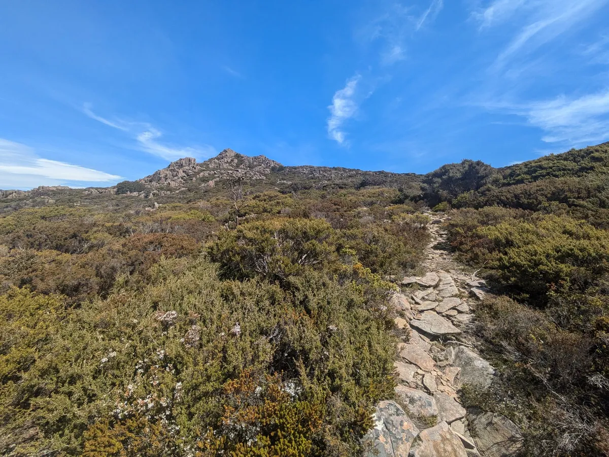 Un plateau ouvert avec un sentier pavé de roches