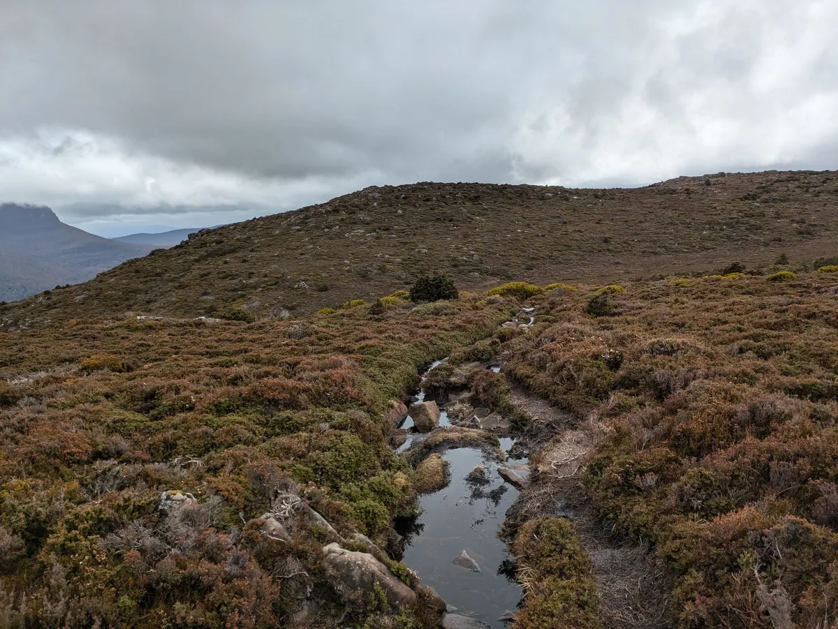 Sentier recouvert de flaques d'eau