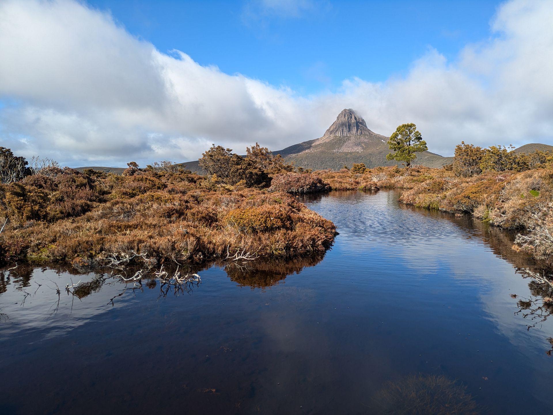 Dans l'ombre de Cradle Mountain, un des sommets les plus impressionnants de l'île, pourtant moins technique que celui qui attire toutes les foules.