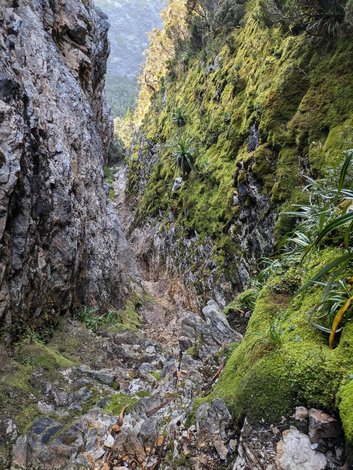 Goulet du Tilted Chasm