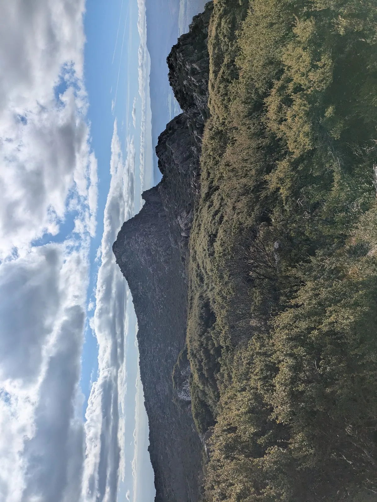 Forêt et montagne