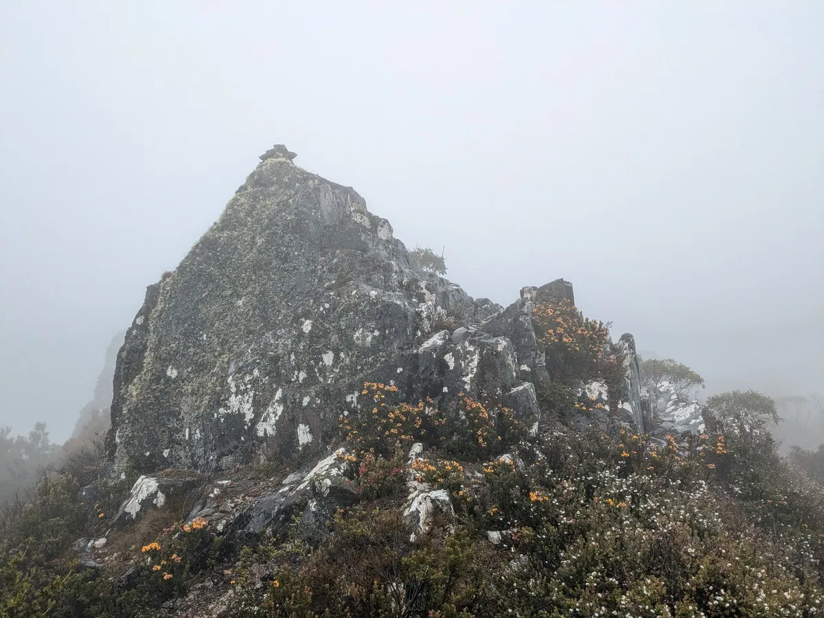 Grand rocher dans la brume
