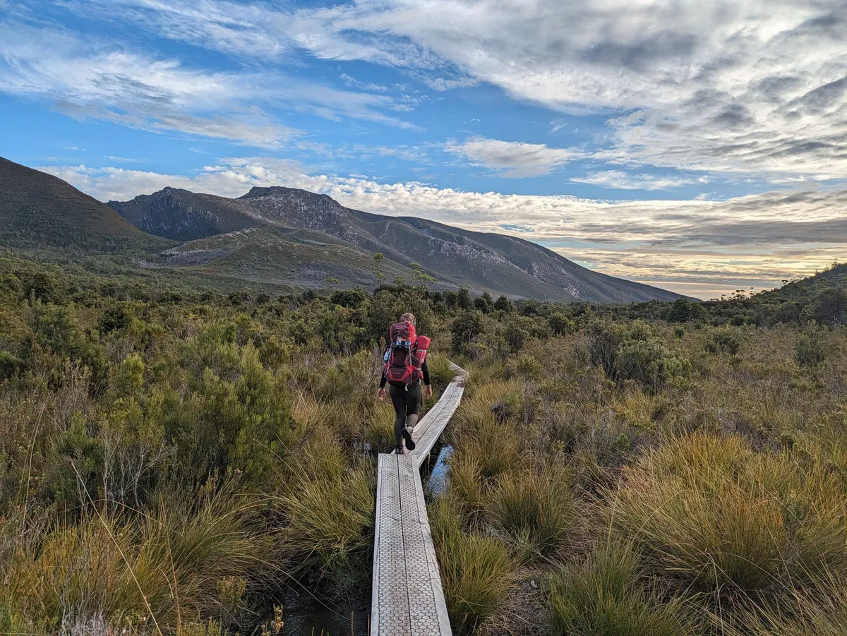 Boardwalk dans une région alpine
