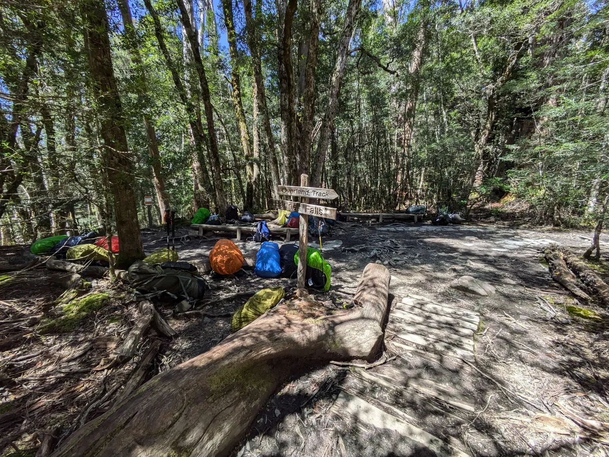 Aire de pique nique dans la forêt