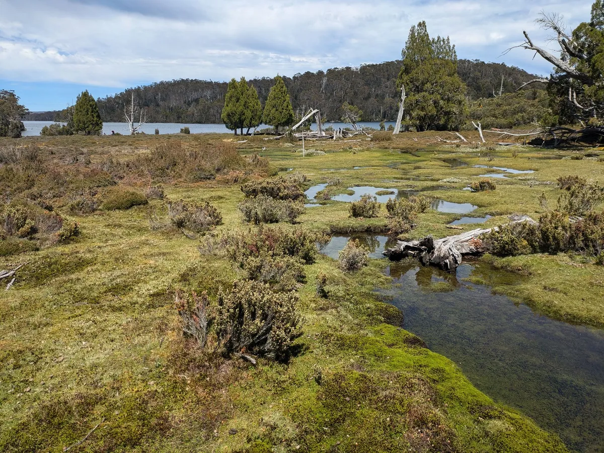 Tarns dans une plaine verdoyante