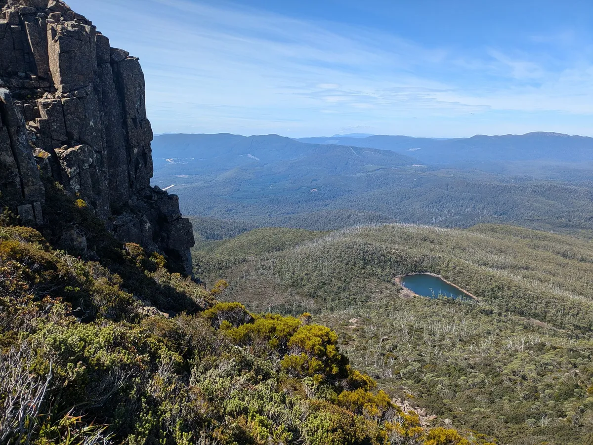 Lac dans une forêt d'eucalyptus