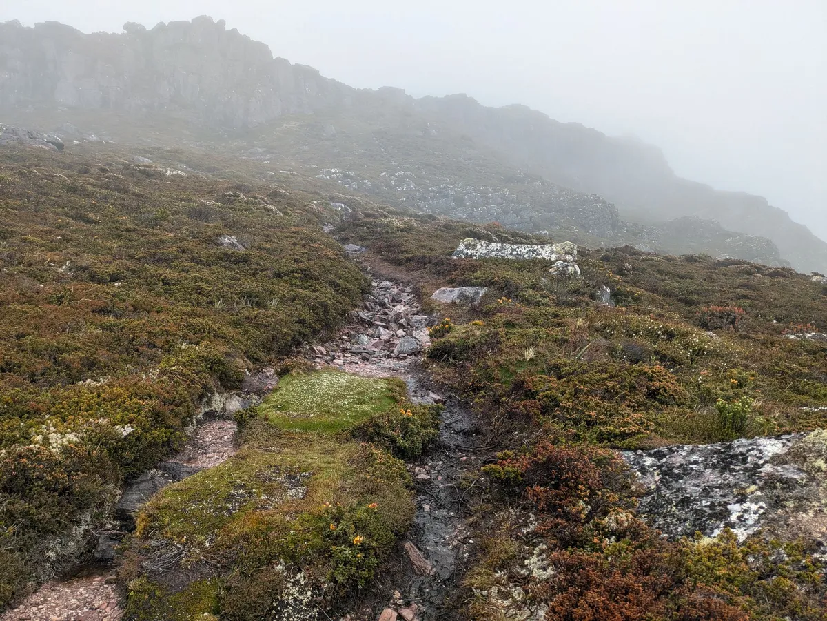 Sentier de montagne dans la brume