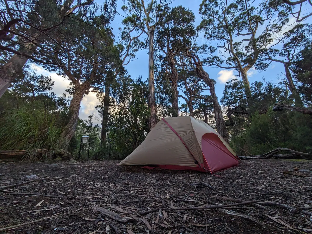 Tente dans la forêt