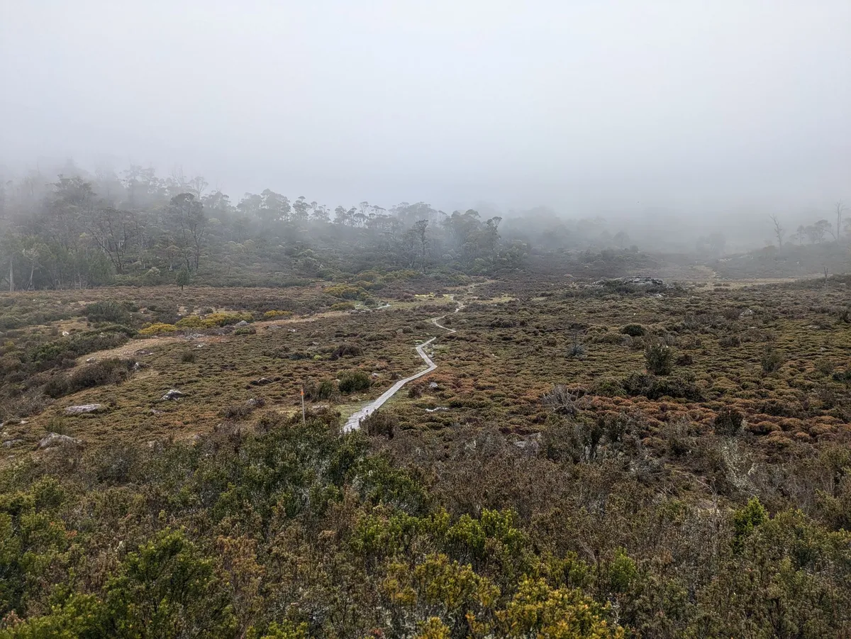 Plaine de Wild Dog Creek