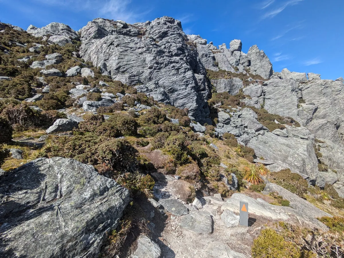 Sentier balisé et petite trace de terre partant à gauche