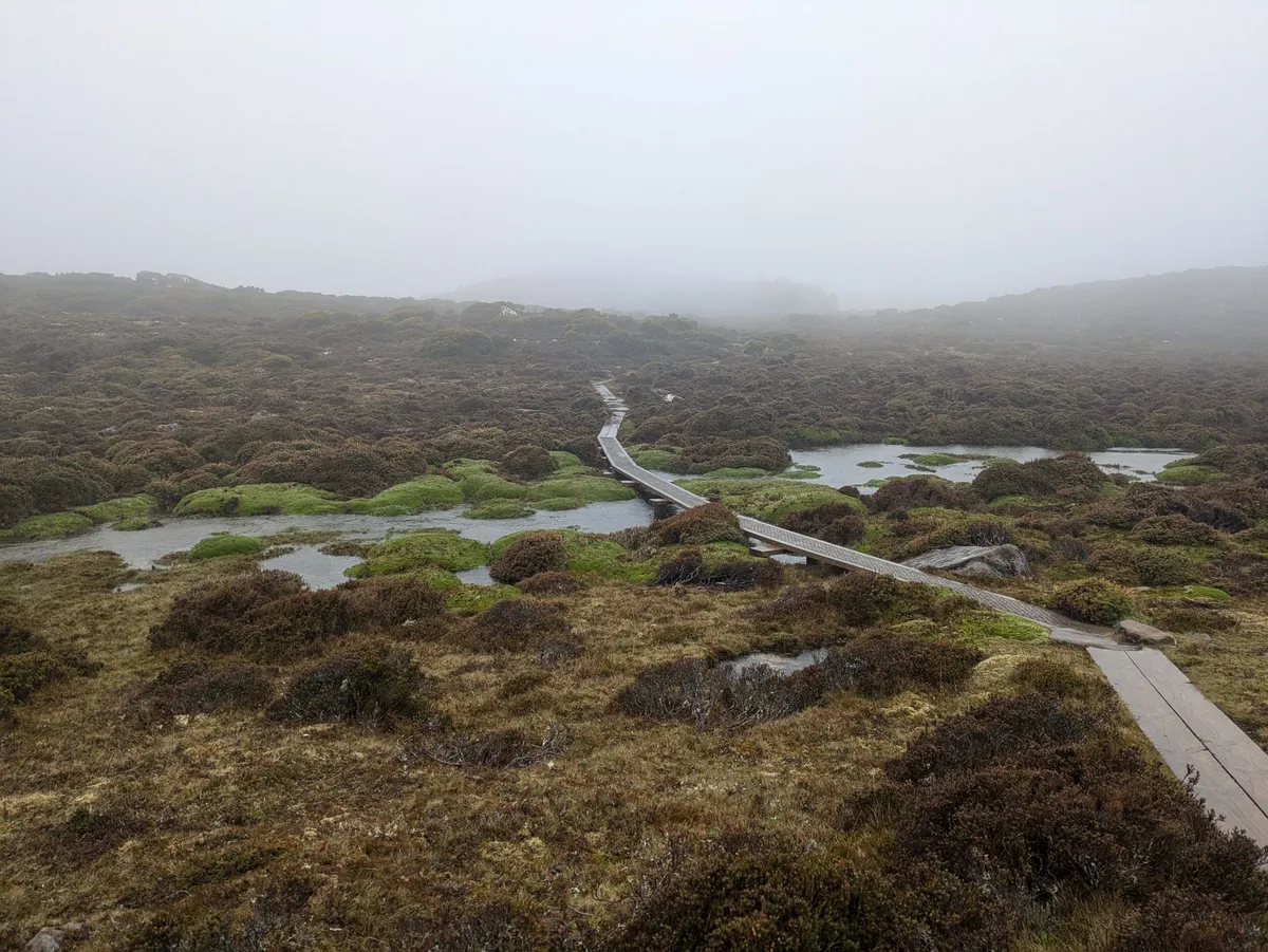 Boardwalk traversant un plateau dans le brouillard