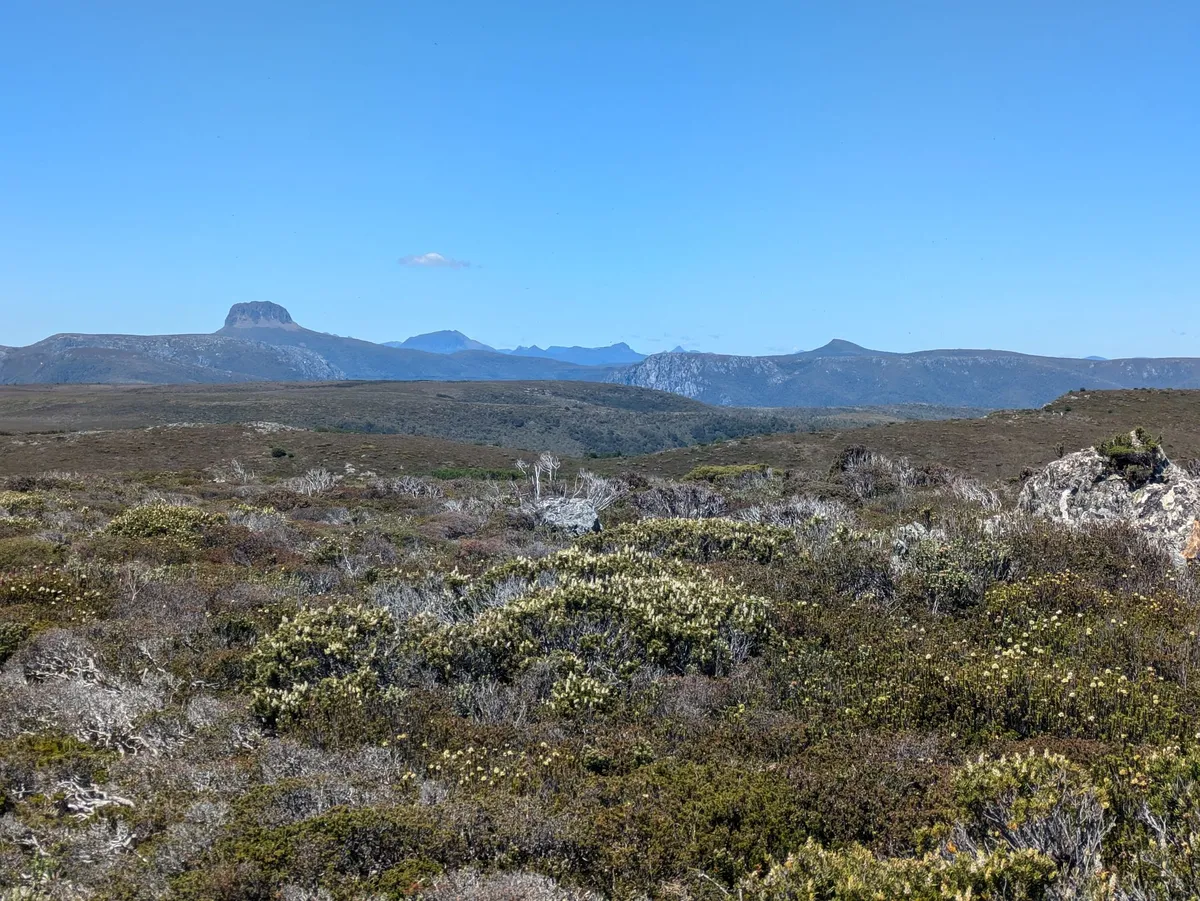 Vue depuis le sommet de Recondite Knob