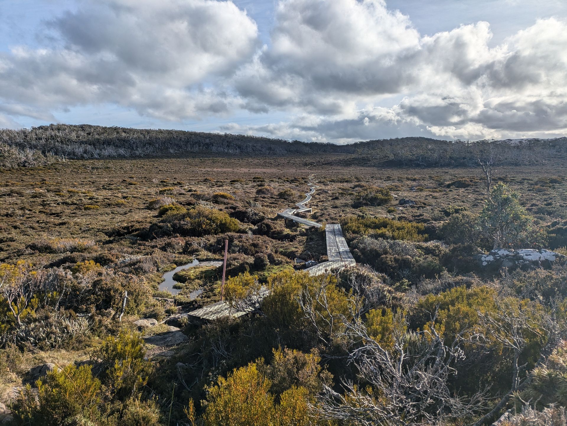Mount Field East