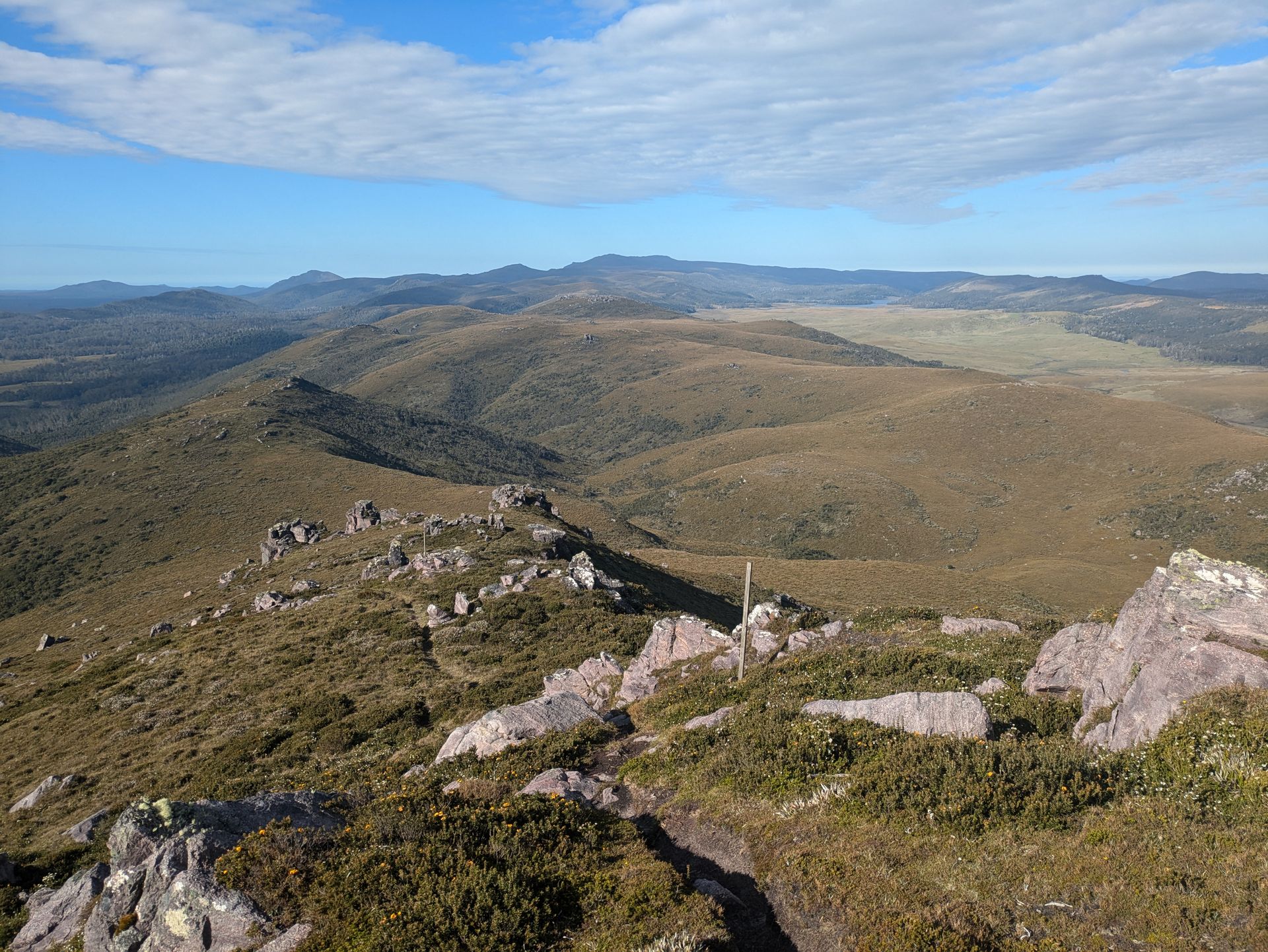 Mount Beecroft