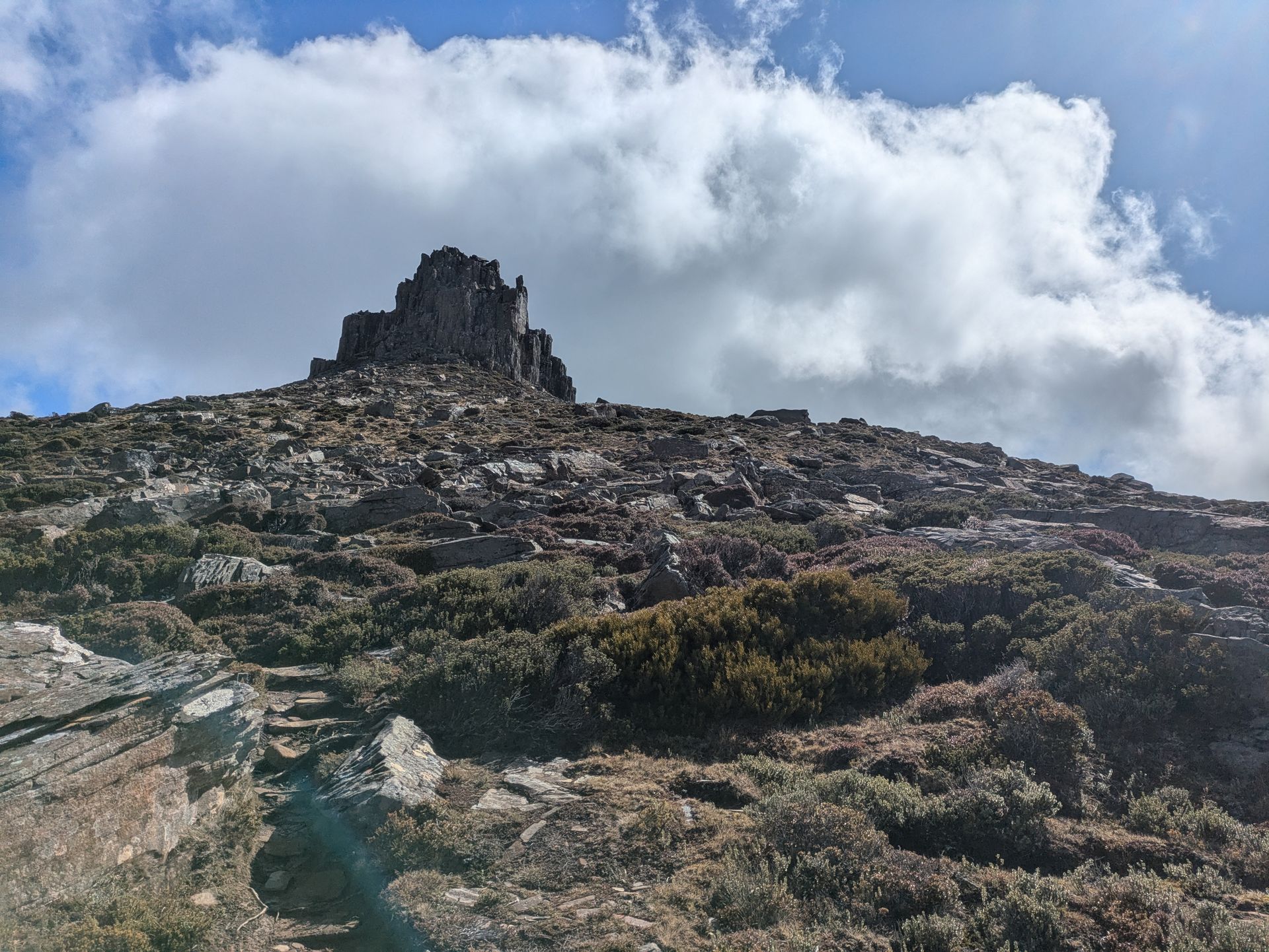 Délaissé par tous ceux qui s'attaquent au Mont Ossa, ce sommet moins connu offre pourtant le meilleur point de vue sur le point culminant de la Tasmanie !