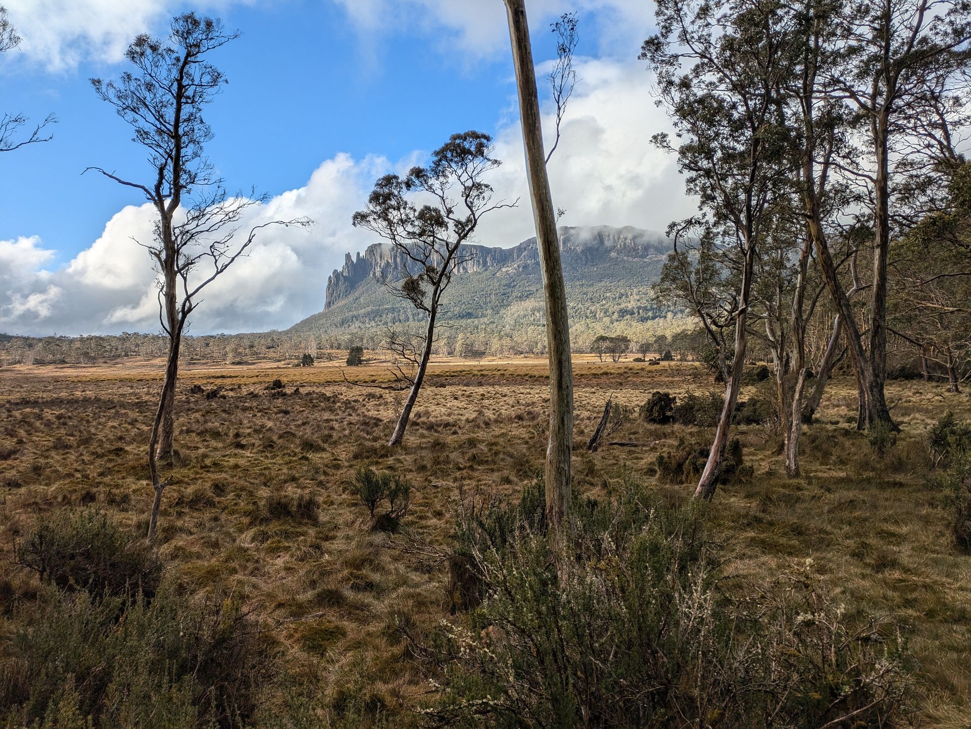 Mount Oakleigh