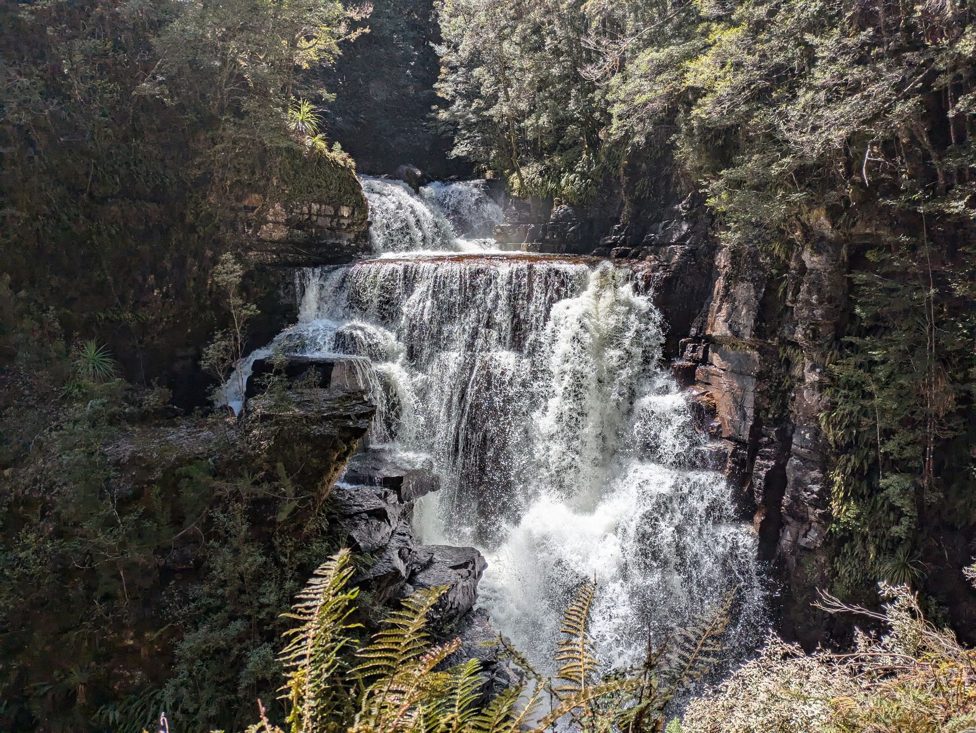 Journée rafraichissante entre forêt et cascades